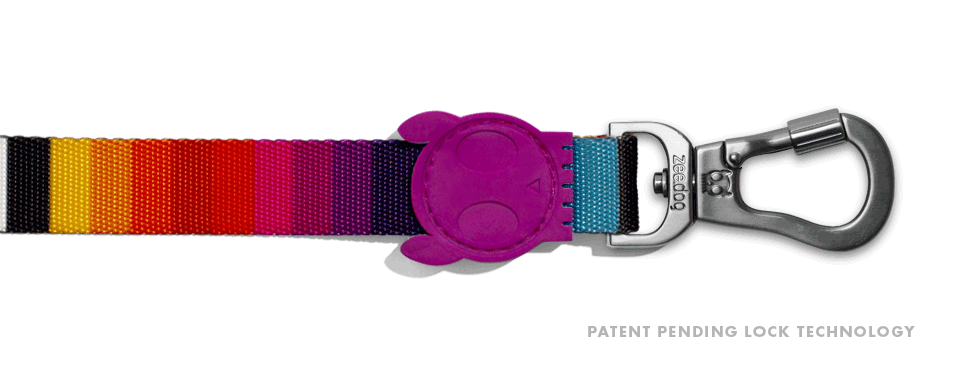 Prisma | Leash