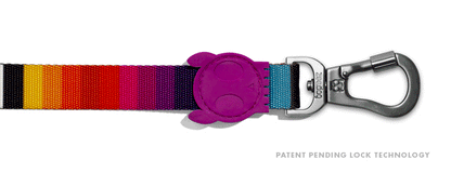 Prisma | Leash
