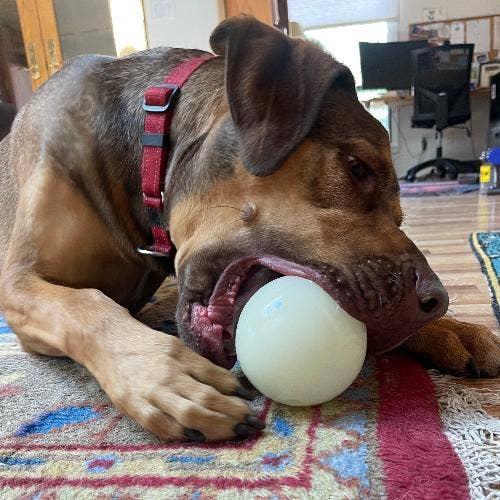4" PUP-X Glow Ball Treat Dispenser - Glow in the Dark