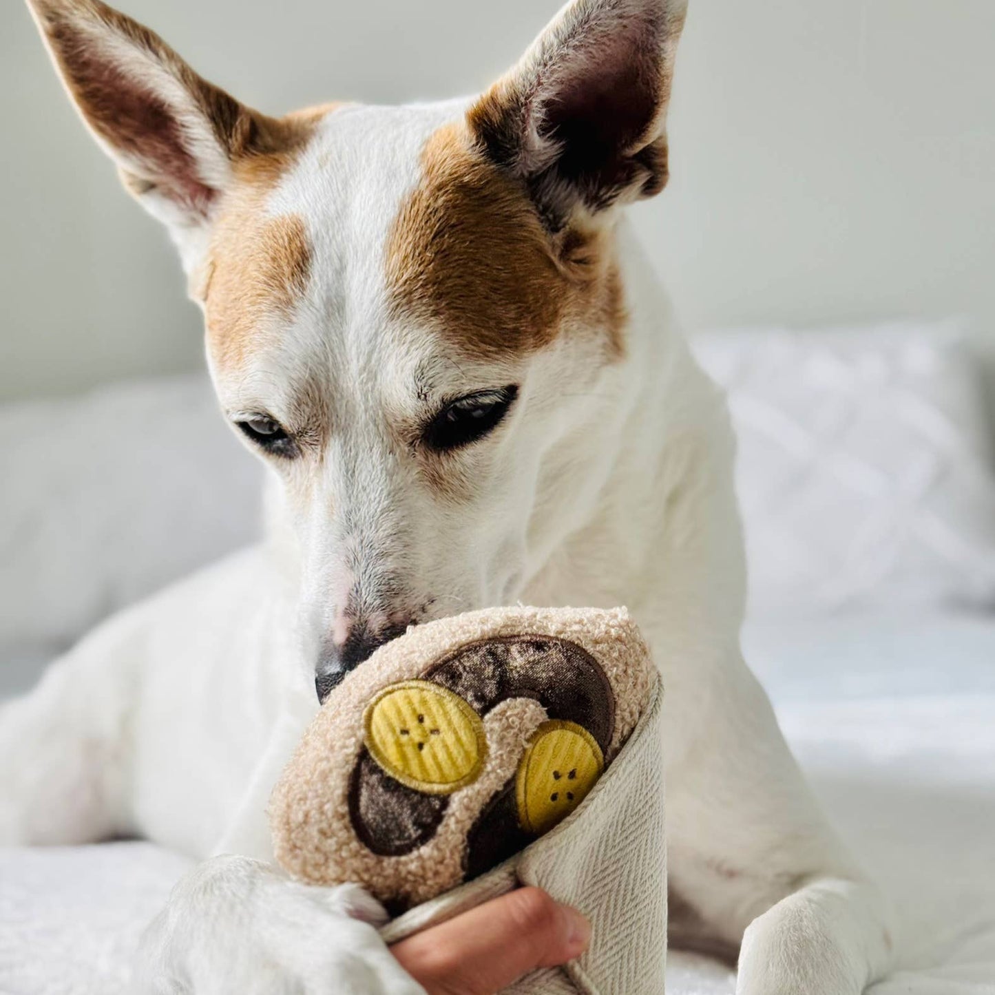 CREPE DOG TOY