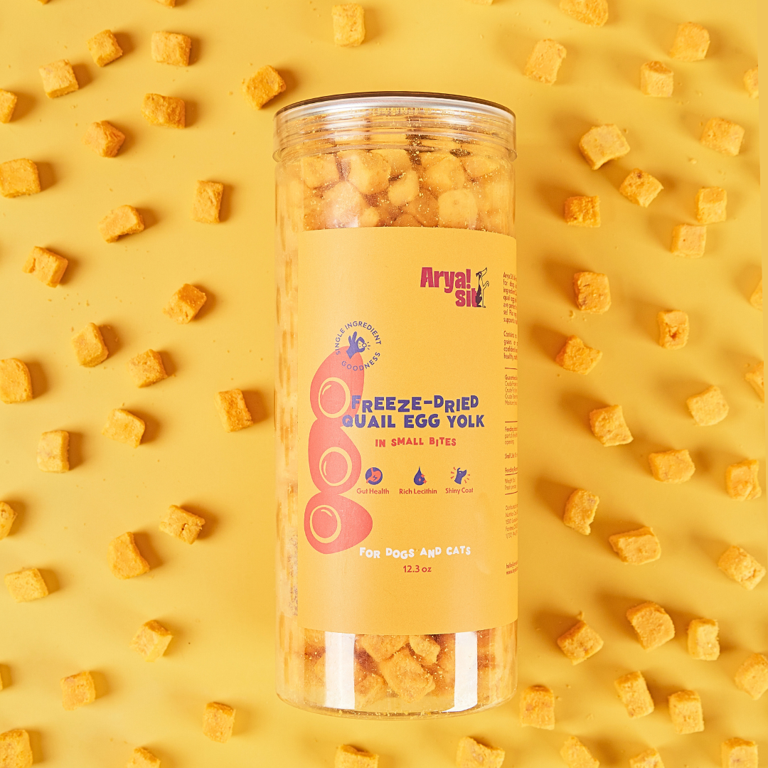 Arya Sit Freeze-Dried Egg Yolk Bites