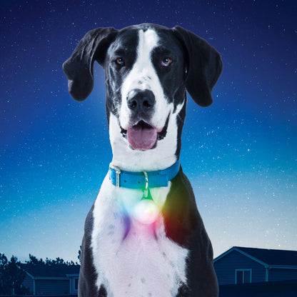 SpotLit XL Rechargeable Collar Light-Disc-O
