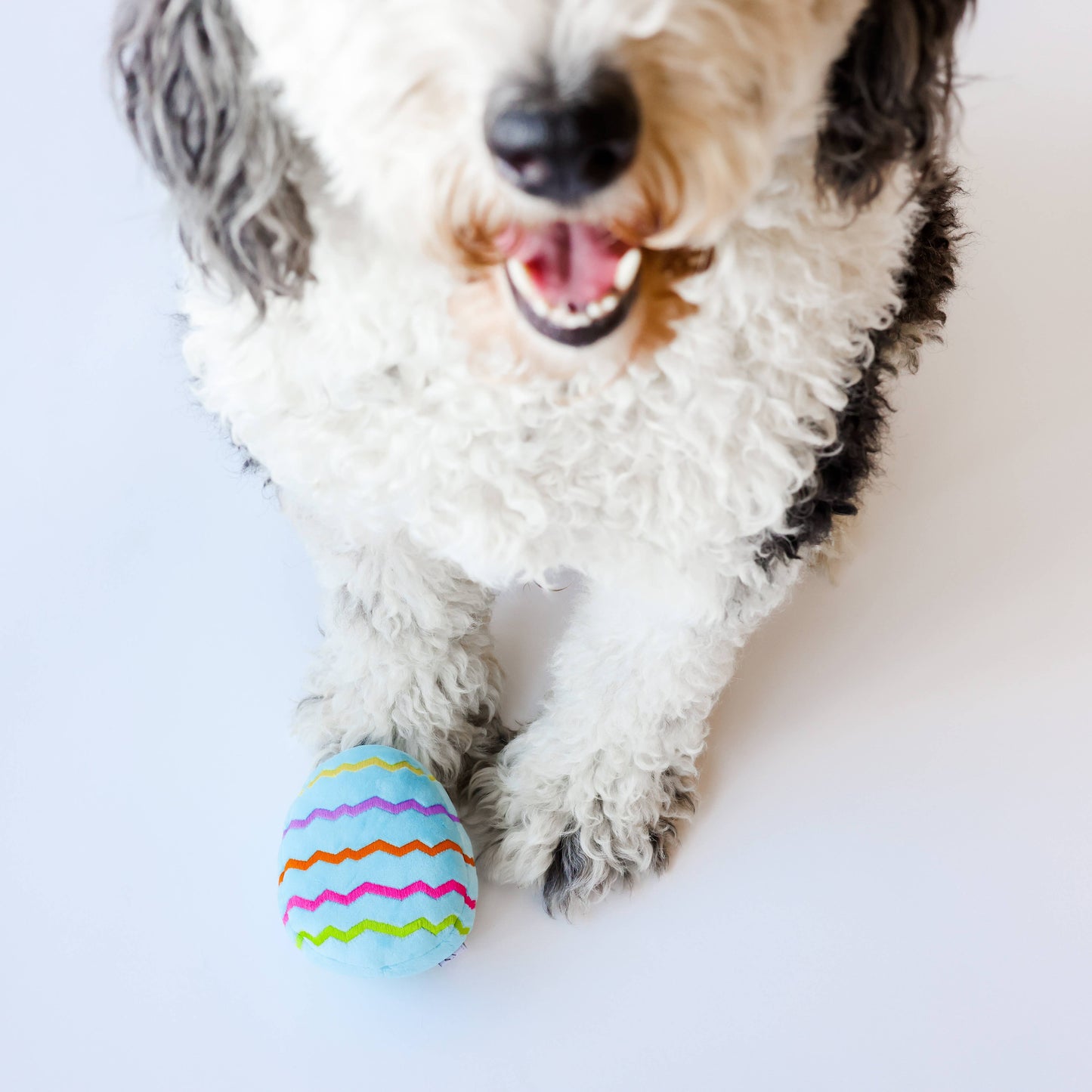 Midlee Plush Easter Egg Dog Toy - Blue