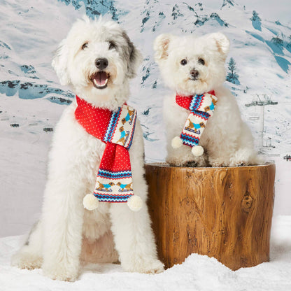 Foggy Dog Hit the Slopes Knit Scarf