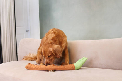 Snail Rollup Snuffle Toy