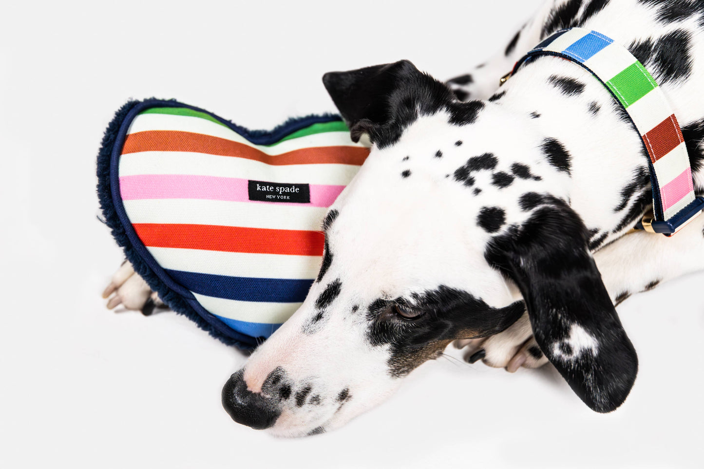 Kate Spade Large Dog Collar, Adventure Stripe
