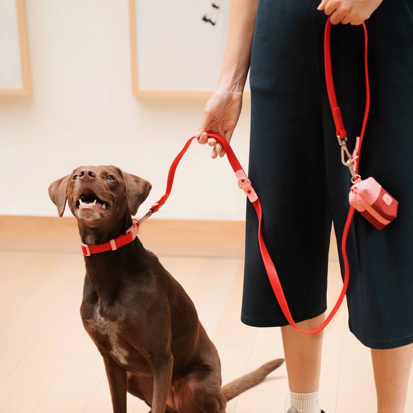 The Fritz Dog Leash | Leash wit Handle | Multi Dog Leash
