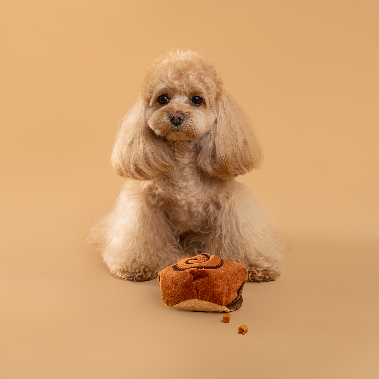CHEWFFON Cinnamon Roll Squeaky Snuffle Toy