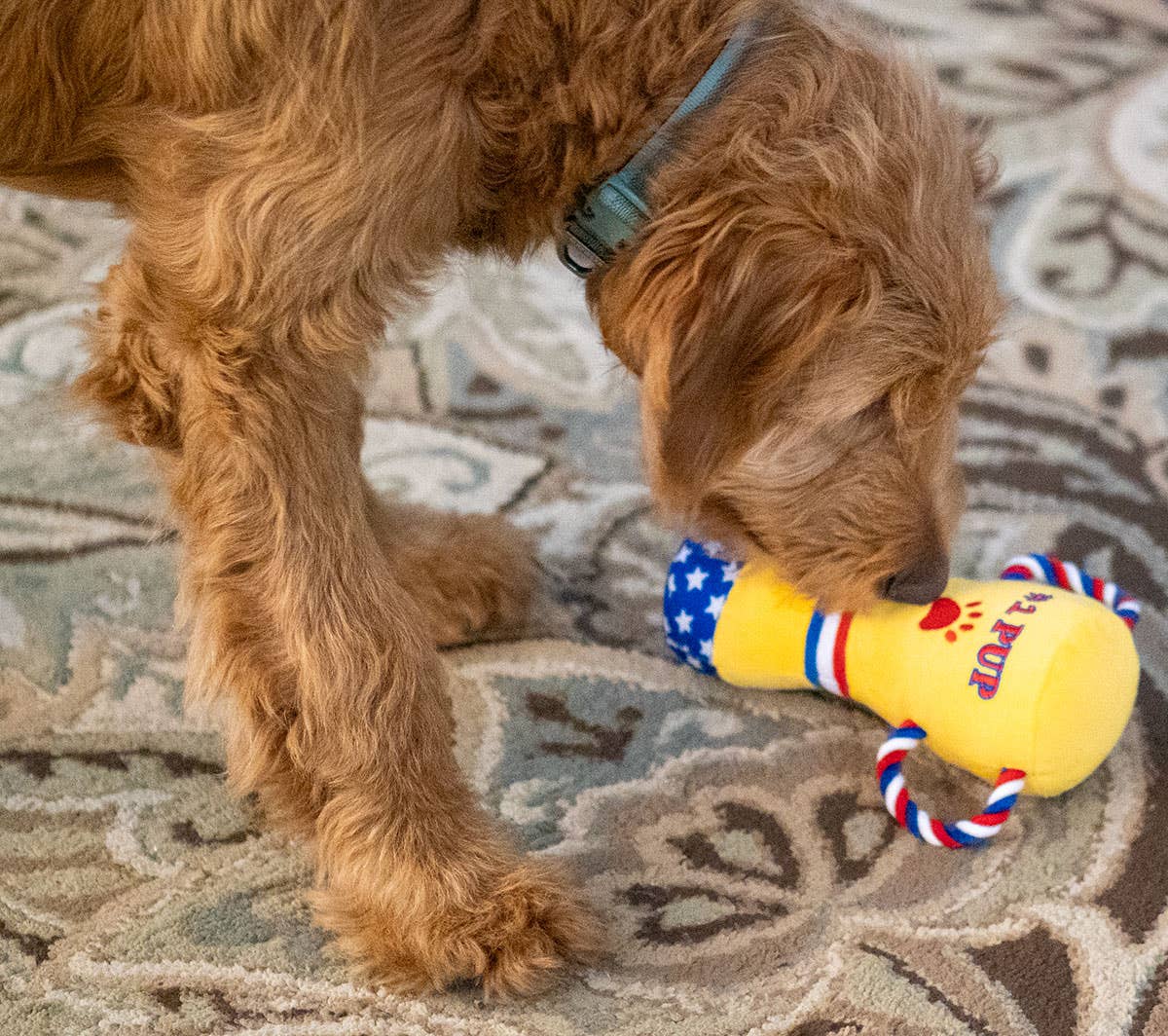 ThoozyPet #1 PUP Trophy Toy 9"