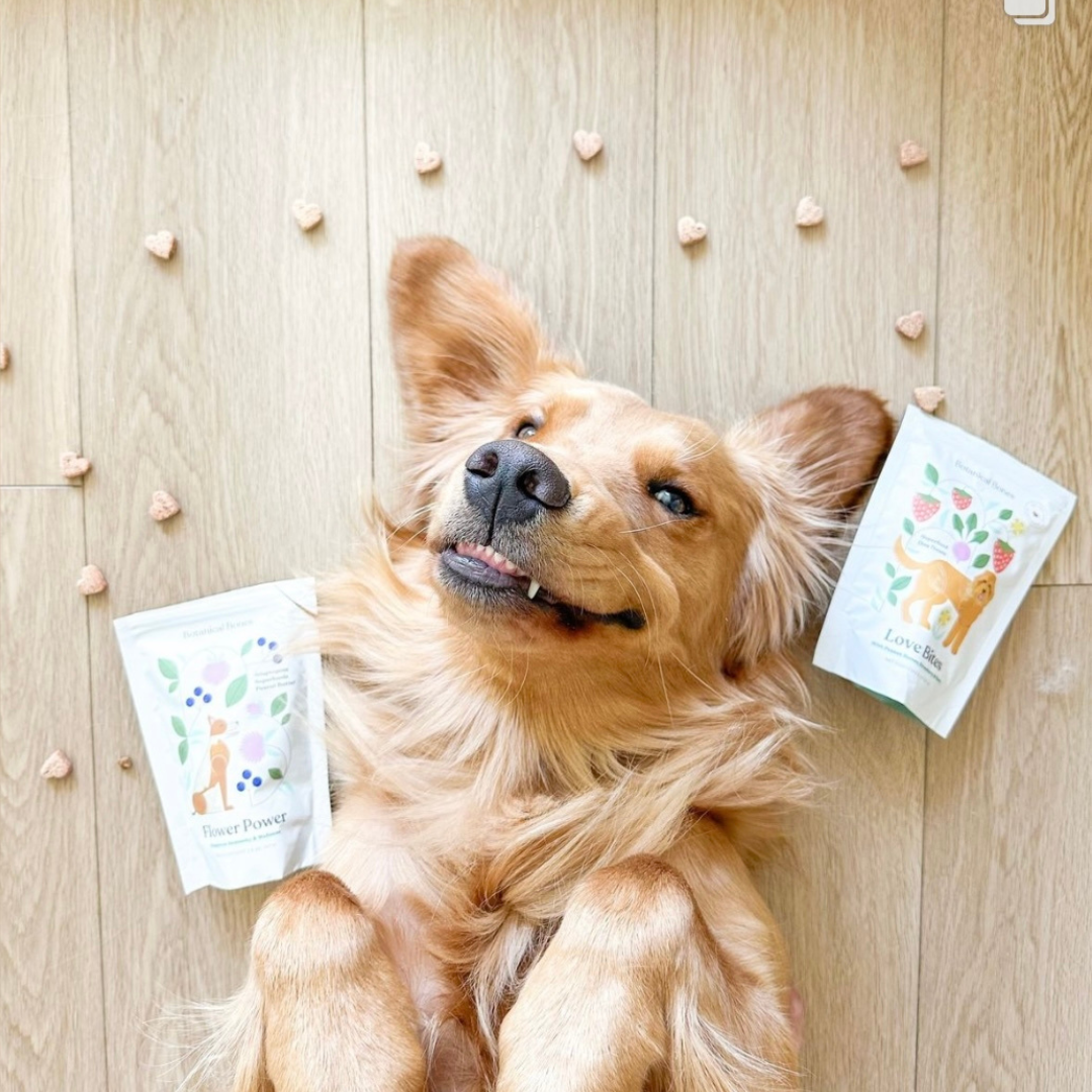 Love Bites - Organic Dog Treats, Strawberry & Peanut Butter