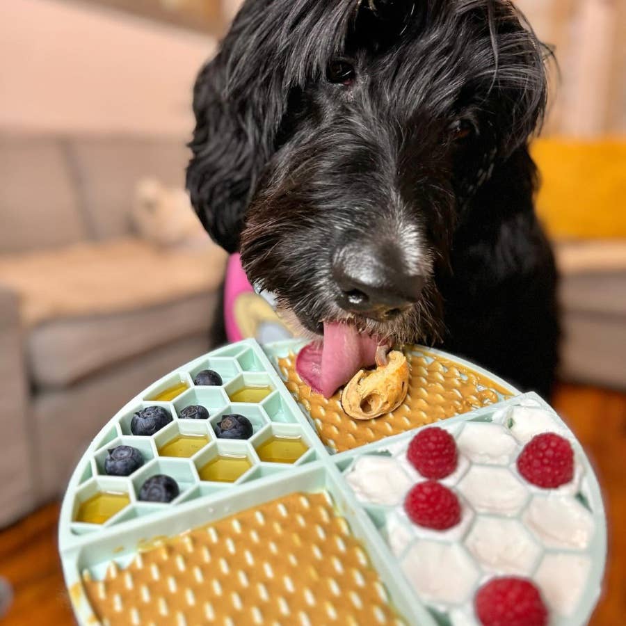 Sweetheart Snack (V-Day)  Buddy Budder