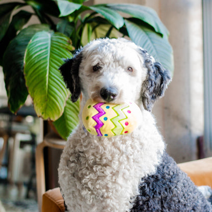 Midlee Plush Easter Egg Dog Toy with Squeaker
