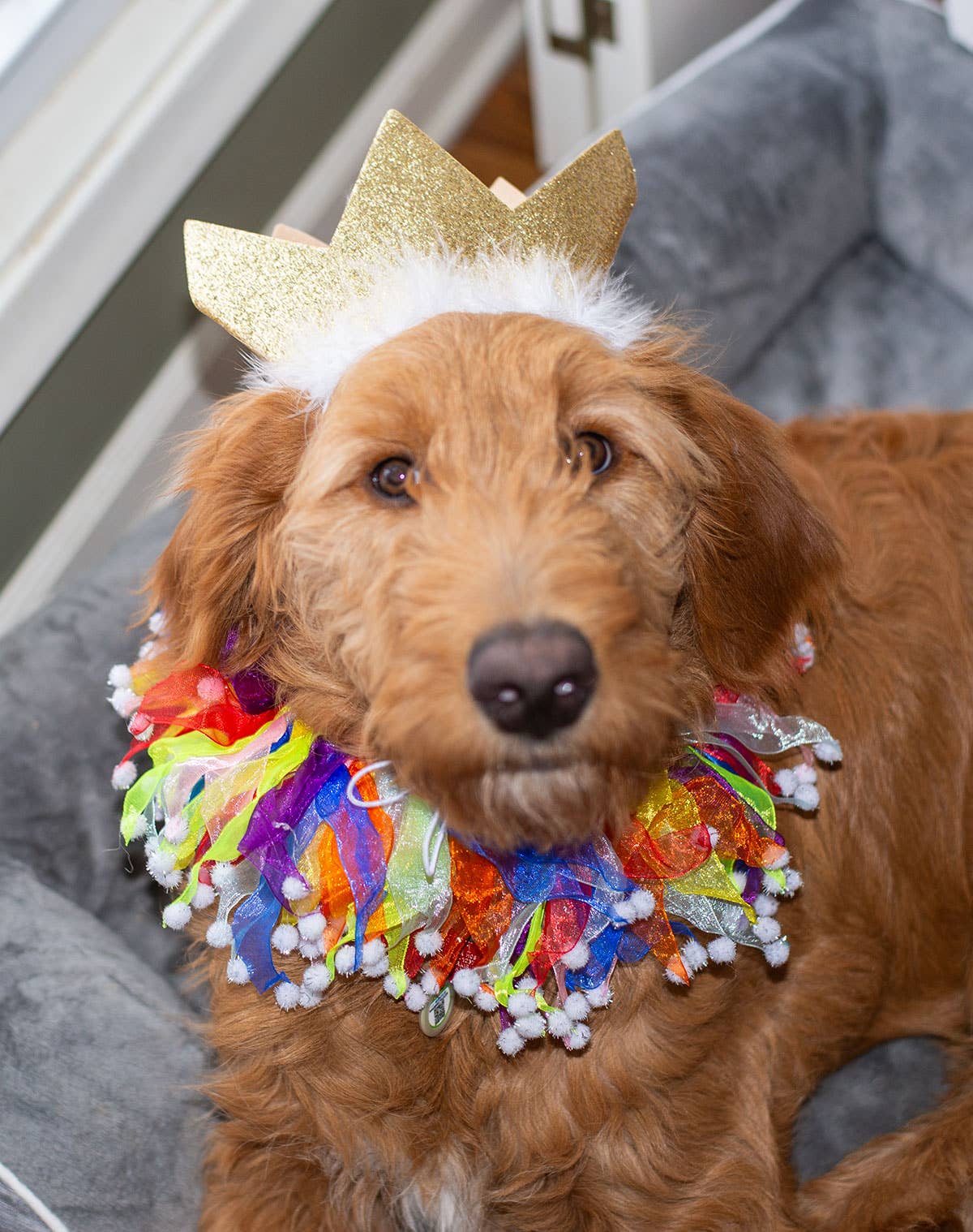 Multipet Party Crown Gold Small