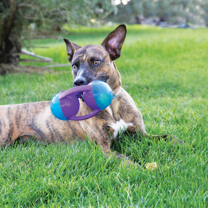 KONG® Jumbler™ Disc Dog Enrichment Toy Assorted Medium/Large