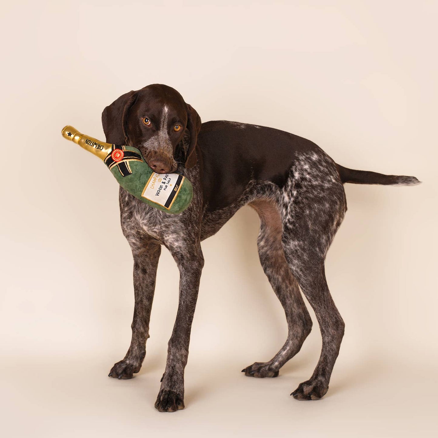 CHEWFFON Plush Champagne Bottle Squeaky Dog Toy