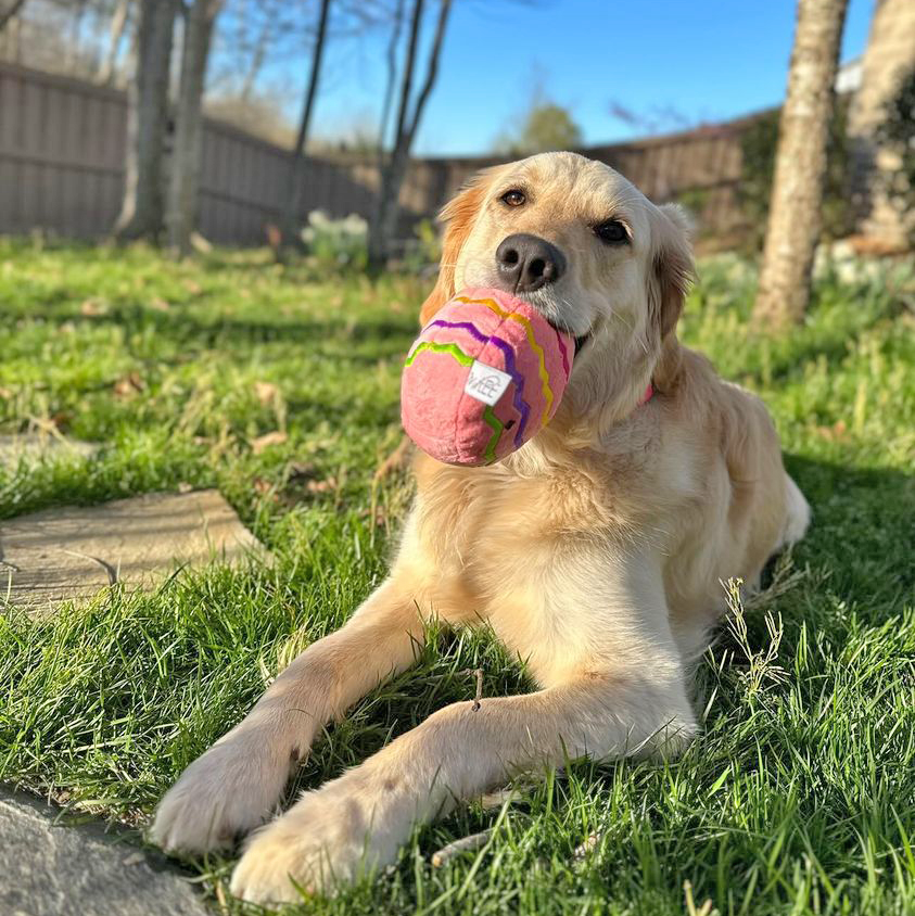 Midlee Easter Egg Plush Dog Toy - Pink
