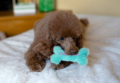 ThoozyPet Birthday 3pk Small Toys 5.5"
