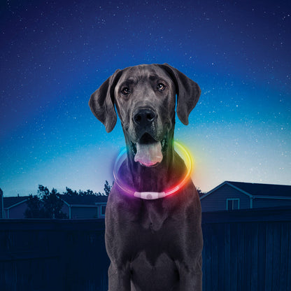 Nite Ize Rechargeable LED Safety Necklace-Disco