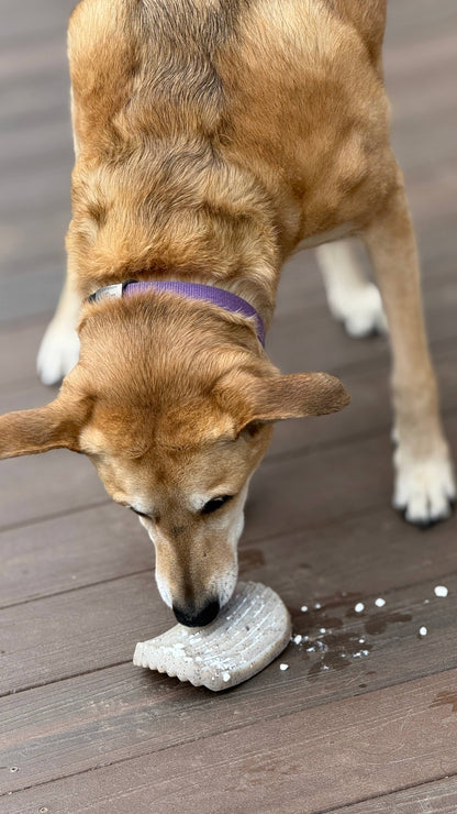 Potato Chip Nylon Chew & Enrichment Toy | SodaPup