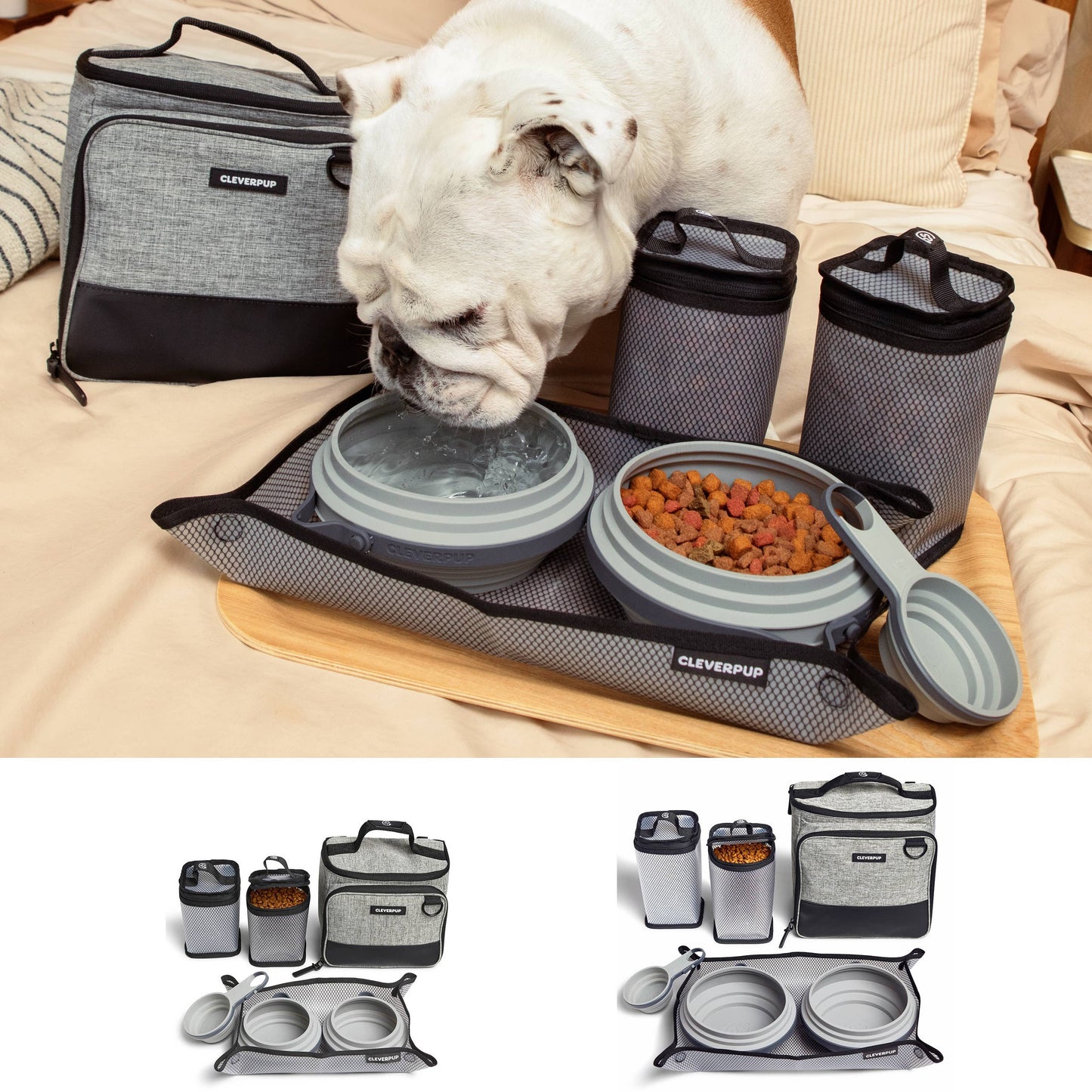 Bistro Box Dog Food Travel Kit