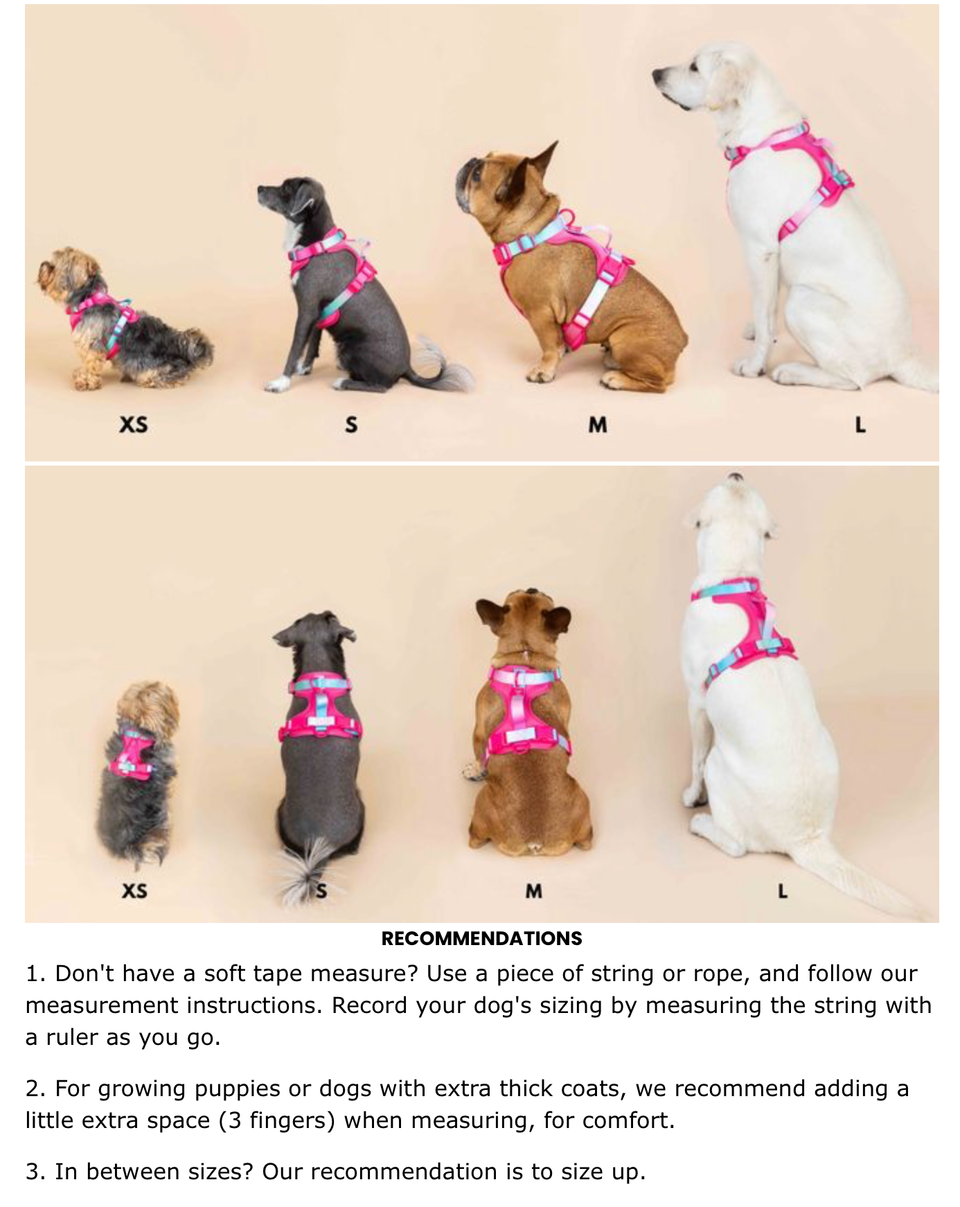 Rowan Dog Harness | Black
