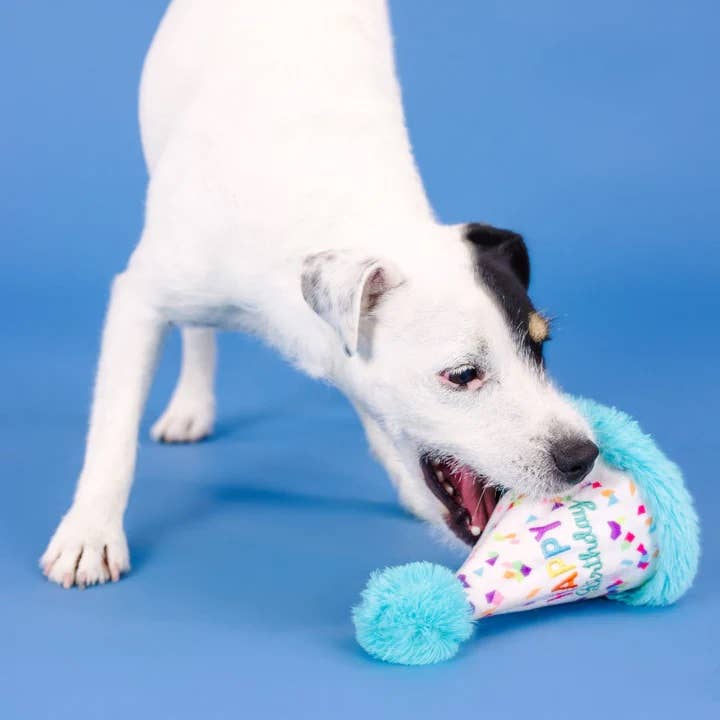 PetShop by Fringe Yappy Barkday Rubber/Plush Dog Toy