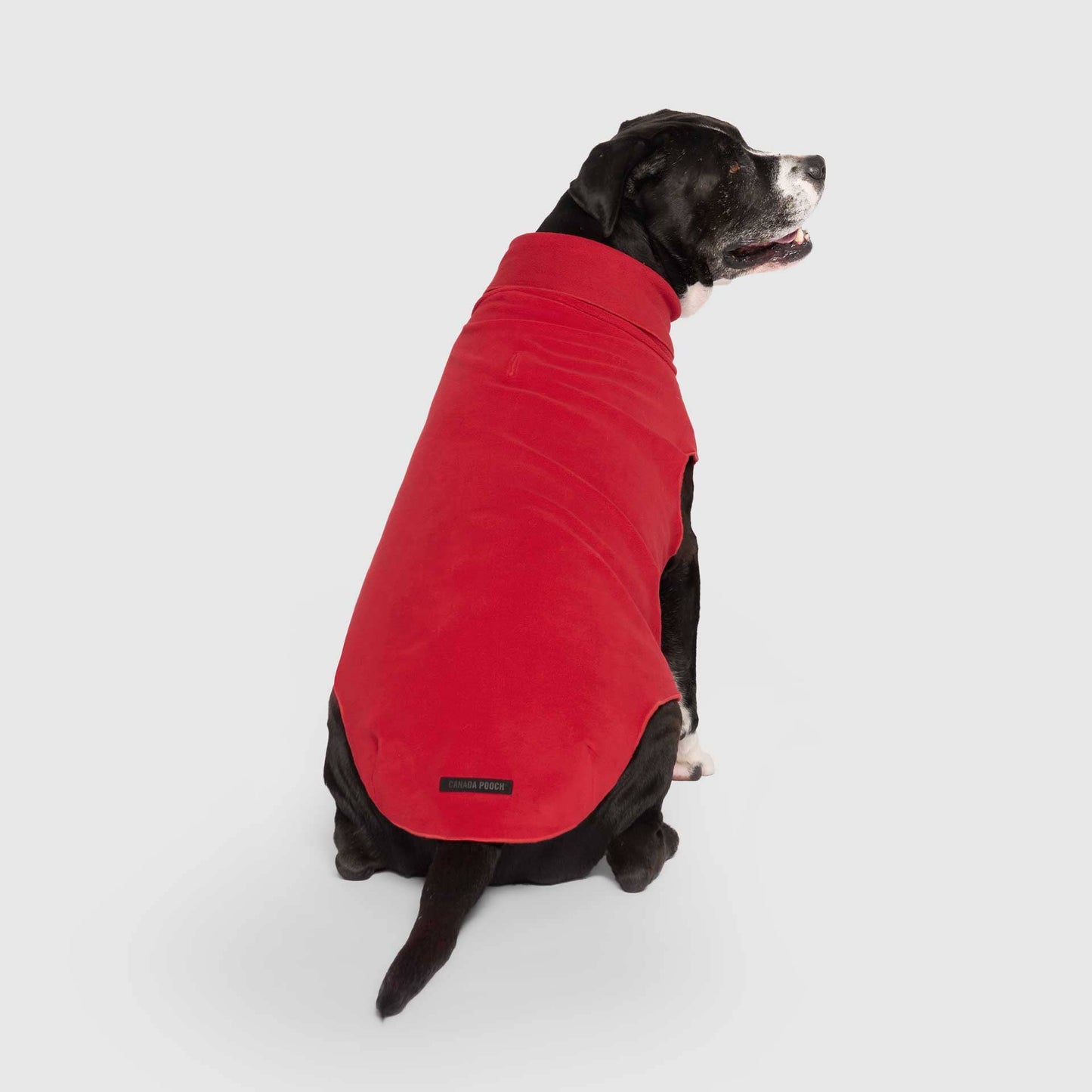 Easy On Stretch Fleece- Dog sweater