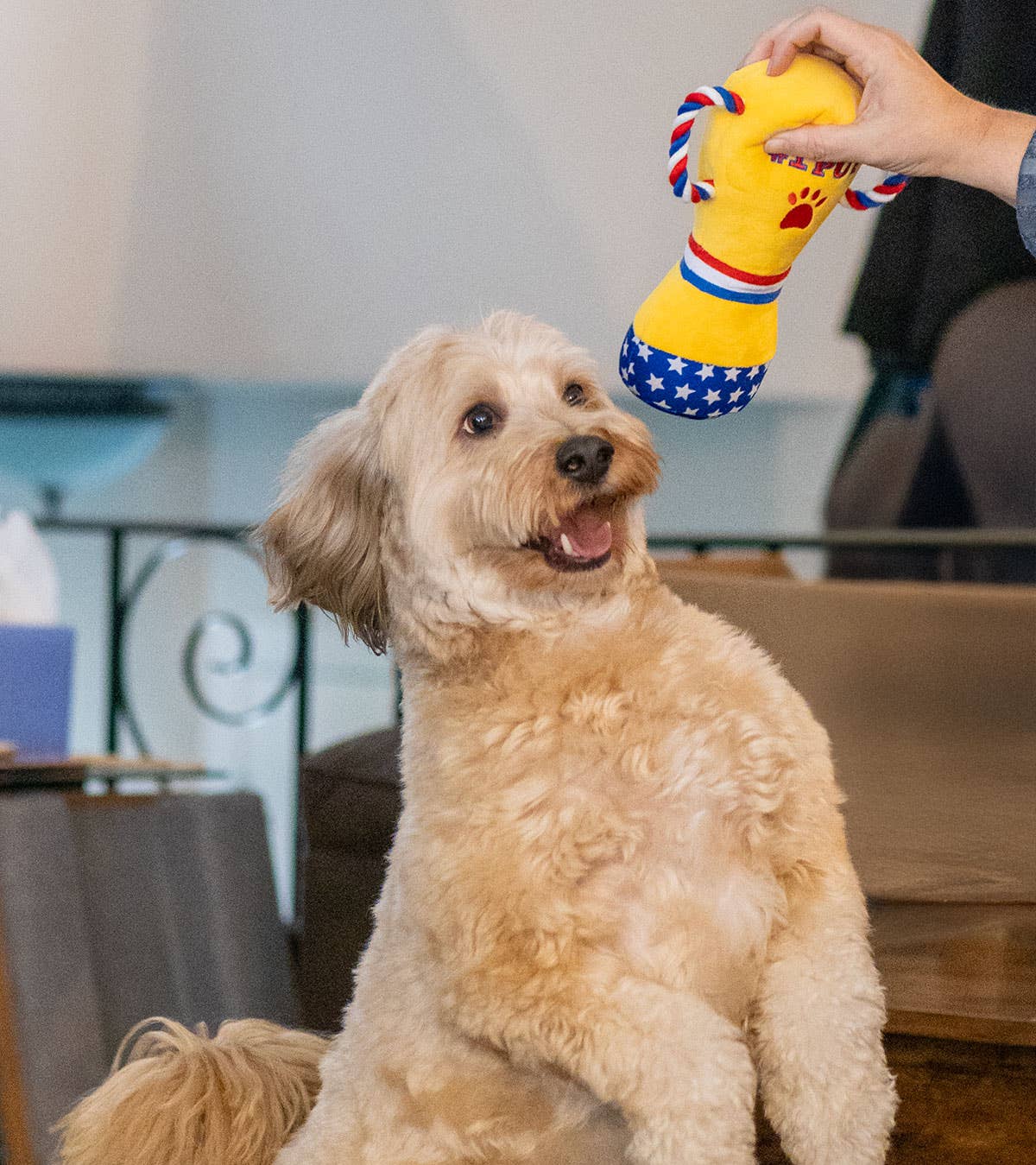 ThoozyPet #1 PUP Trophy Toy 9"
