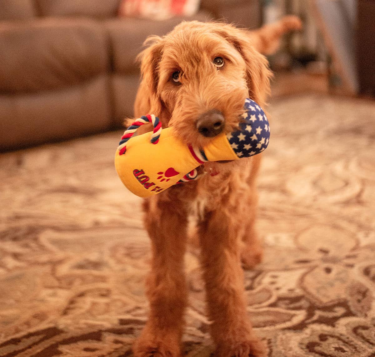ThoozyPet #1 PUP Trophy Toy 9"
