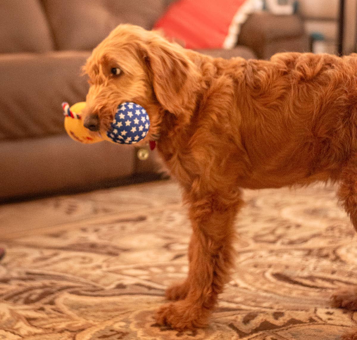 ThoozyPet #1 PUP Trophy Toy 9"