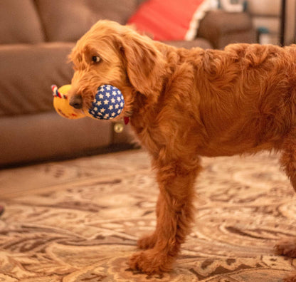 ThoozyPet #1 PUP Trophy Toy 9"