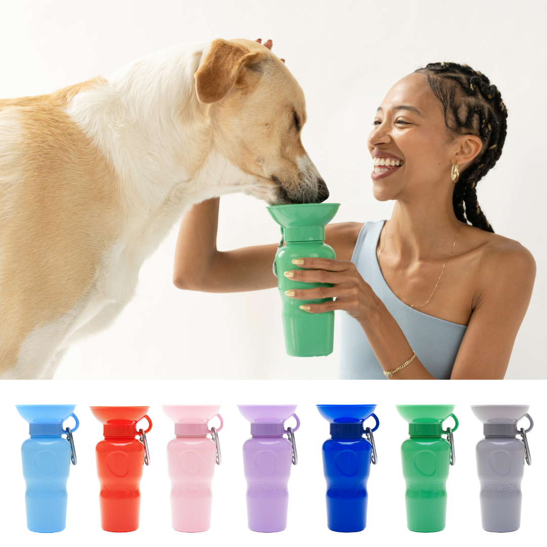 Dog Travel Water Bottle 22oz Classic (Mixed 12 Pack)