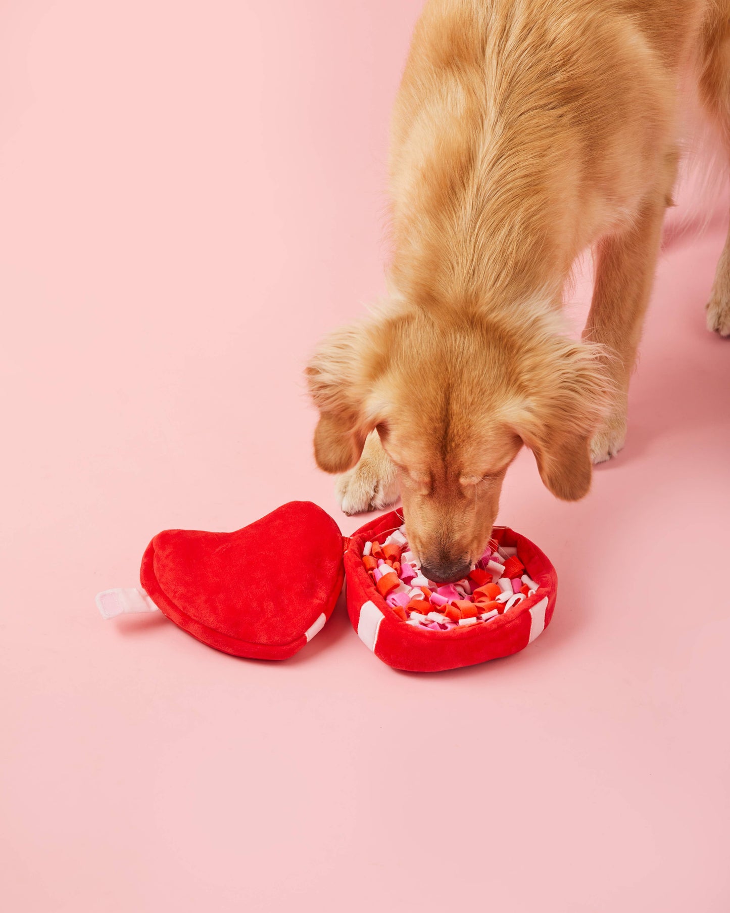 Be My Valentine Snuffle Toy