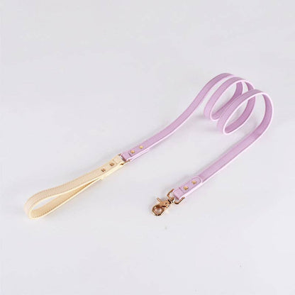 Loofie - Colorful Leather Dog Leash