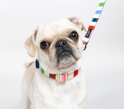 Kate Spade Small Dog Collar, Adventure Stripe