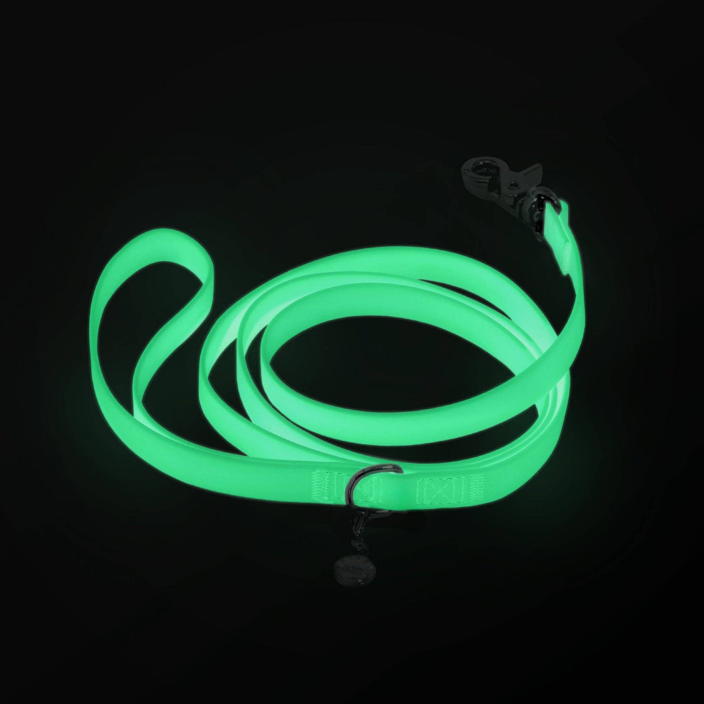 Dog Leash Waterproof - Lunar Glow | 4 ft, 5 ft, 6 ft