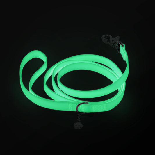 Dog Leash Waterproof - Lunar Glow | 4 ft, 5 ft, 6 ft