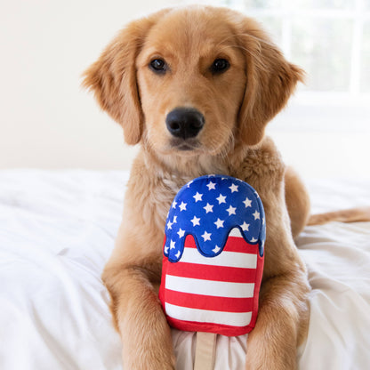 Star Pop Dog Toy
