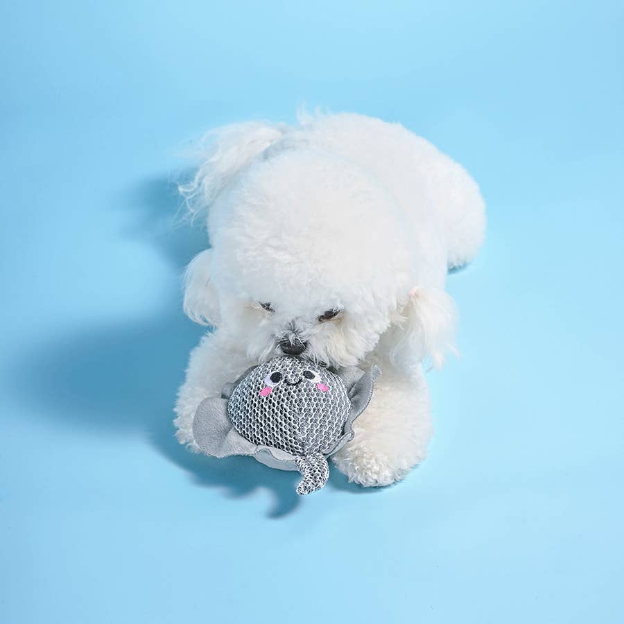 HugSmart - Ocean Pals | Stingray - Dog Ball Toy