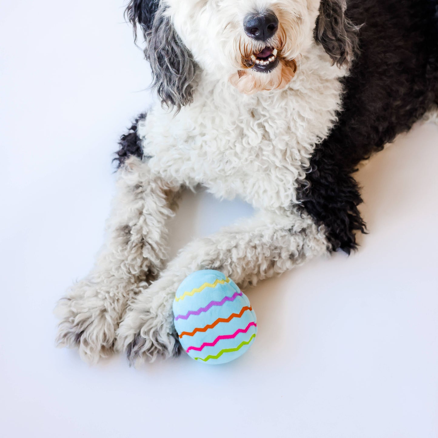 Midlee Plush Easter Egg Dog Toy - Blue