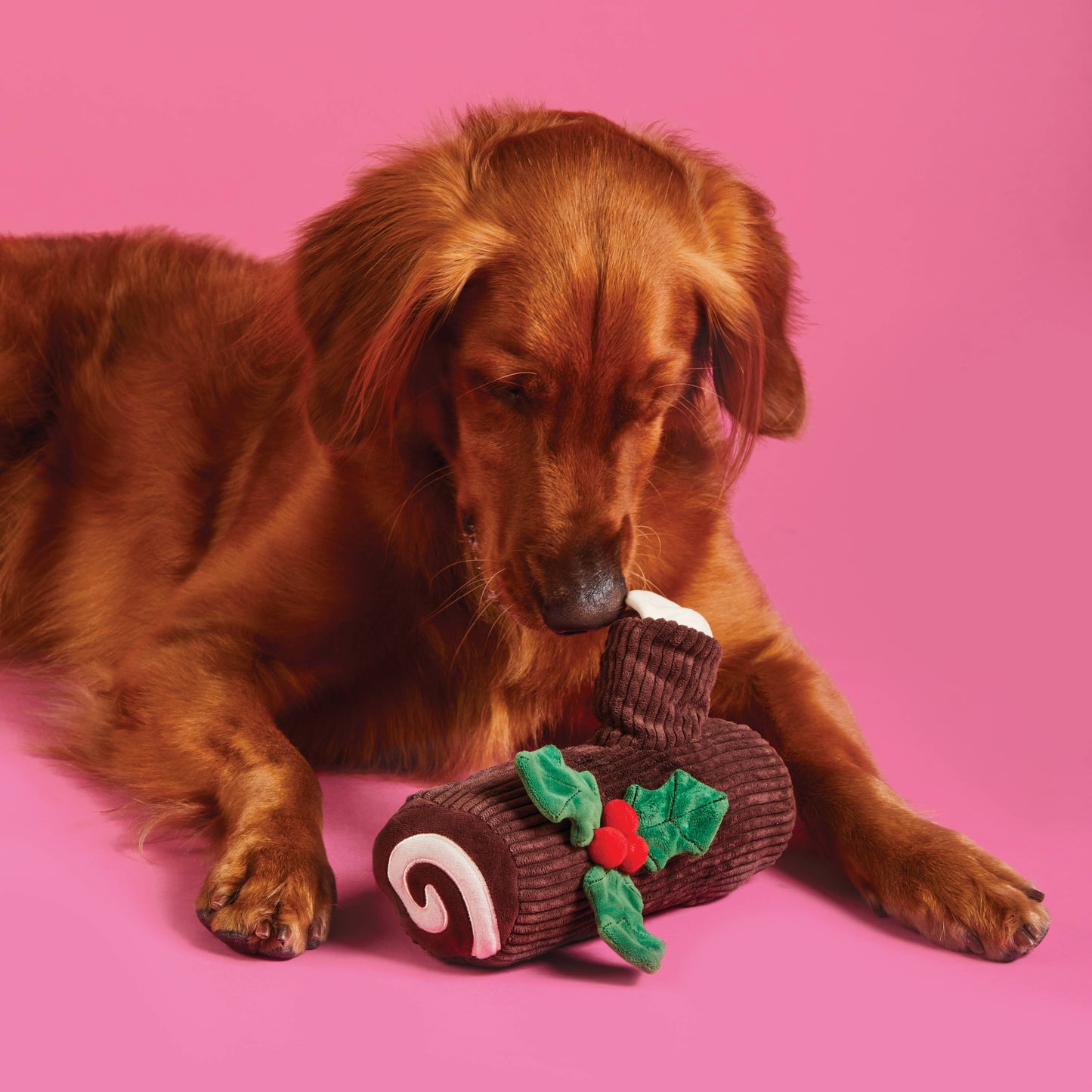 Foggy Dog Yule Log Interactive Snuffle Toy