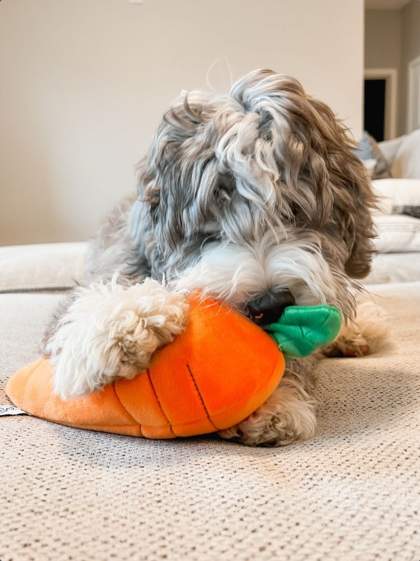Hide a Toy Carrot with Balls & Rabbit Easter Dog Toy