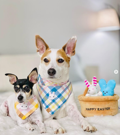Hide a Toy Easter Basket Dog Toy