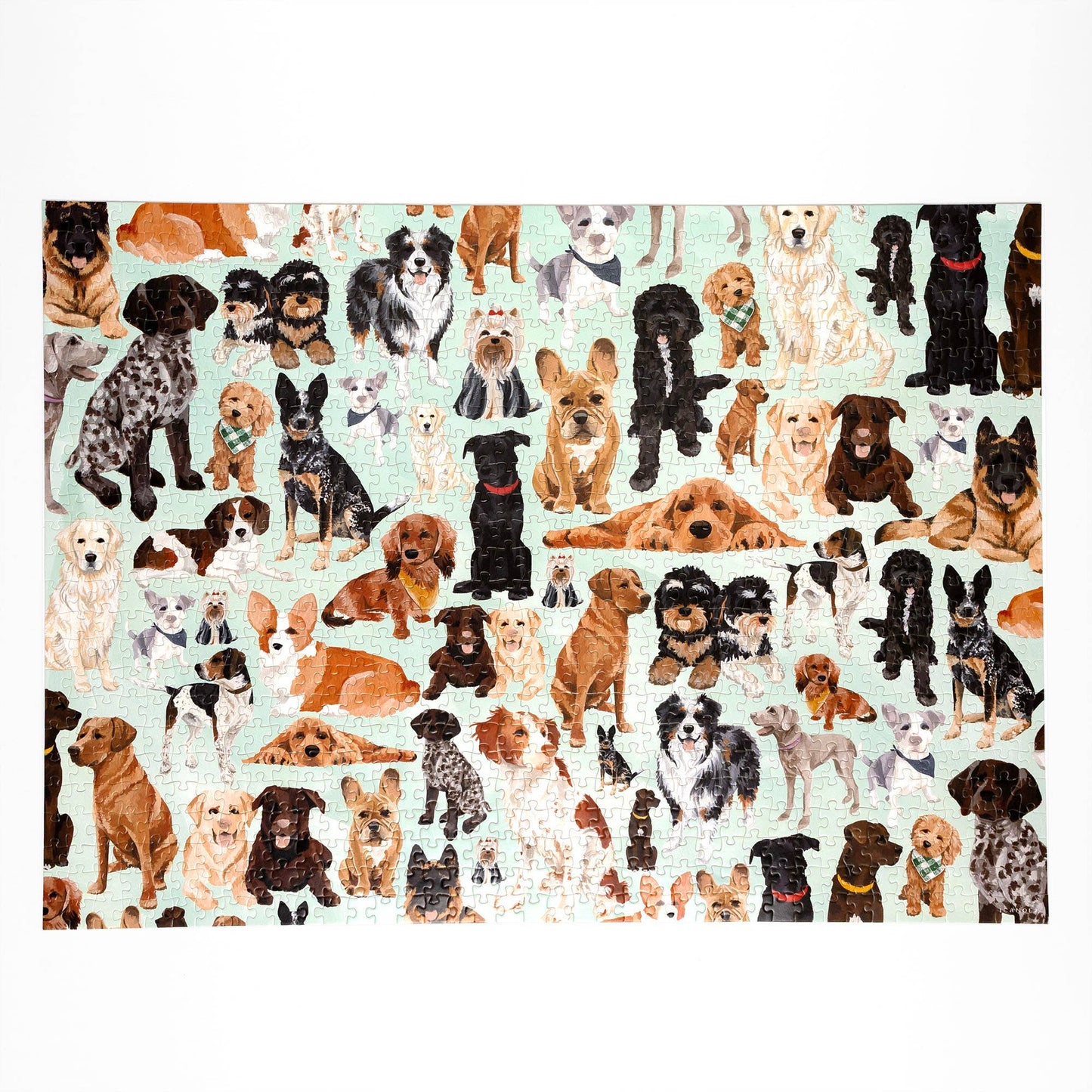 Furry Friends - 1,000 Piece Dogs Jigsaw Puzzle
