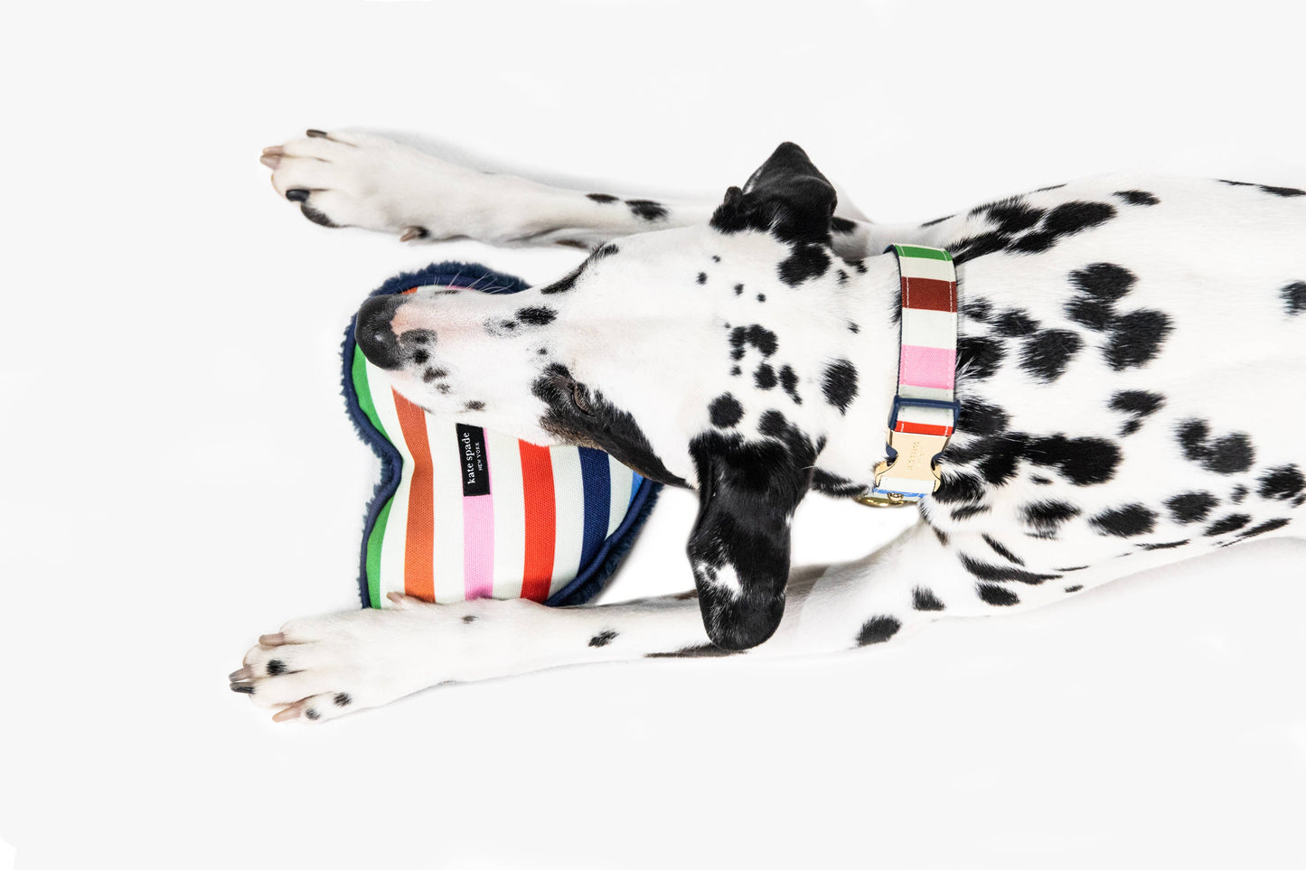 Kate Spade Large Dog Collar, Adventure Stripe