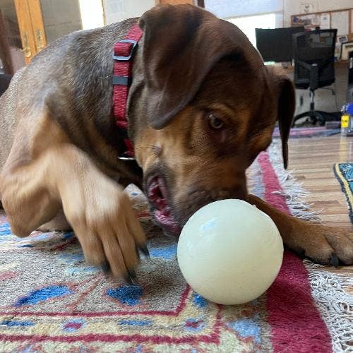 4" PUP-X Glow Ball Treat Dispenser - Glow in the Dark