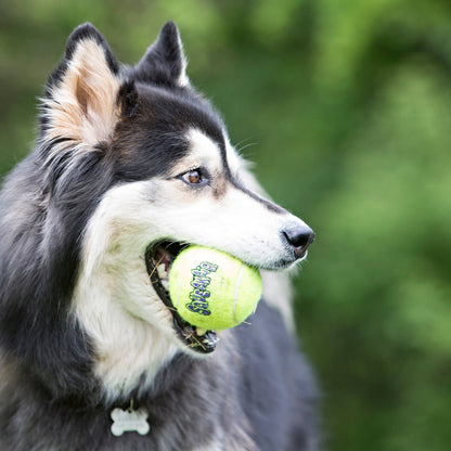 KONG® SqueakAir® Balls Dog Fetch Toy Medium 6pk
