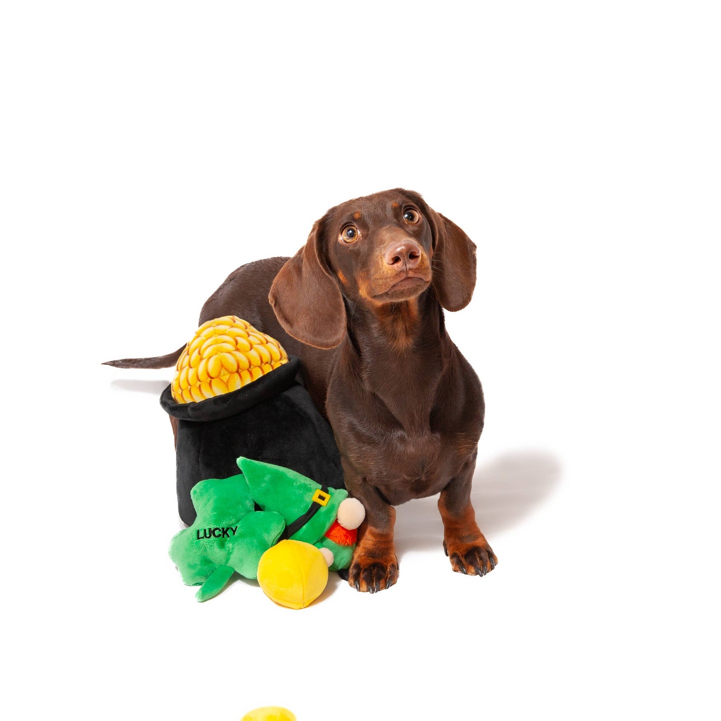 Hide a Toy Carrot with Balls & Rabbit Easter Dog Toy