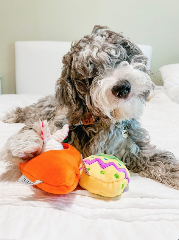 Hide a Toy Carrot with Balls & Rabbit Easter Dog Toy