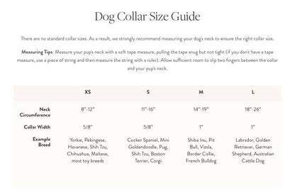Plum Velvet Dog Collar